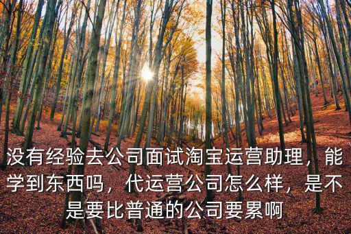湖北愛之富淘寶代運營公司怎么樣,代運營公司怎么樣