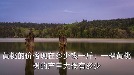 黃桃的價(jià)格現(xiàn)在多少錢一斤，一棵黃桃樹的產(chǎn)量大概有多少