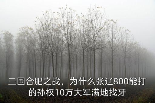動畫三國合肥之戰多少集,為什么三國時期的合肥之戰