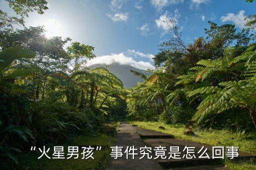 “火星男孩”事件究竟是怎么回事