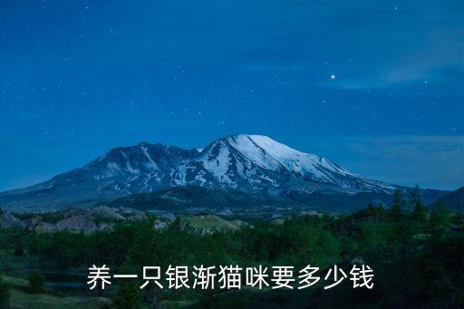 養(yǎng)一只銀漸貓咪要多少錢(qián)