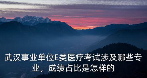 武漢事業單位E類醫療考試涉及哪些專業，成績占比是怎樣的
