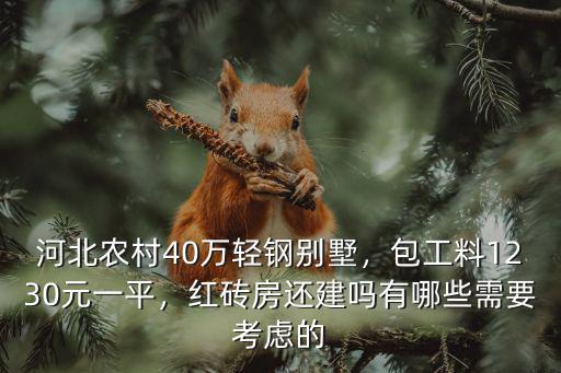 河北農村40萬輕鋼別墅，包工料1230元一平，紅磚房還建嗎有哪些需要考慮的