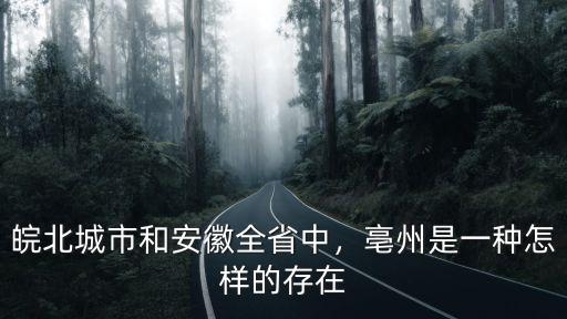 現(xiàn)在的安徽亳州有多少人口,安徽哪個城市的人口最多
