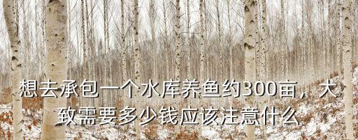 想去承包一個水庫養魚約300畝，大致需要多少錢應該注意什么