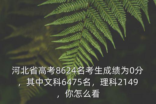 河北省高考文科考多少,今年河北高考最高分多少
