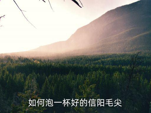 如何泡一杯好的信陽毛尖