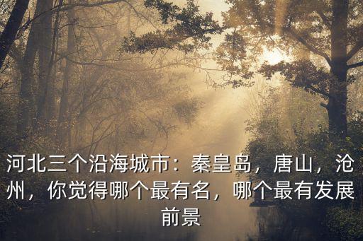 秦皇島有多少個沿海城市,秦皇島是幾線城市