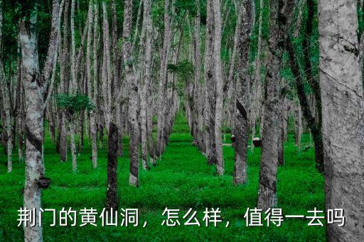 荊門黃仙洞怎么坐?,荊門的黃仙洞