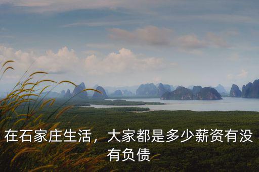 在石家莊生活，大家都是多少薪資有沒有負債