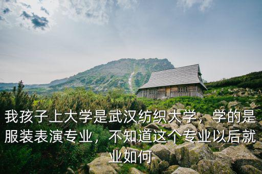 武漢紡織大學服裝專業怎么樣,報考武漢紡織大學怎么樣