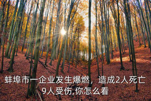 蚌埠死亡多少人,造成2人死亡9人受傷