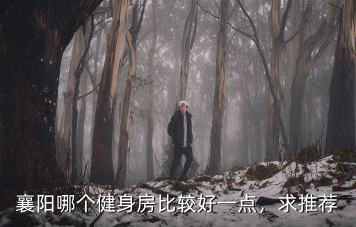 襄陽哪個健身房比較好一點，求推薦
