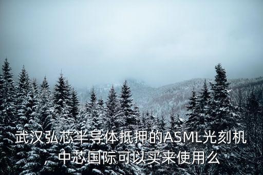 武漢中恩國際怎么樣,武漢國際物流前景怎么樣