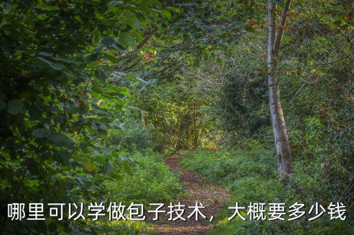 哪里可以學(xué)做包子技術(shù)，大概要多少錢