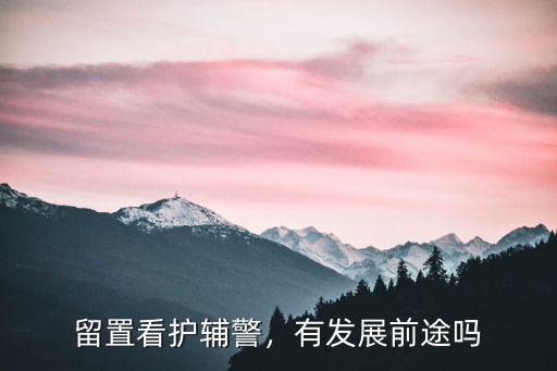 蕪湖留置看護(hù)輔警工資多少,留置看護(hù)輔警