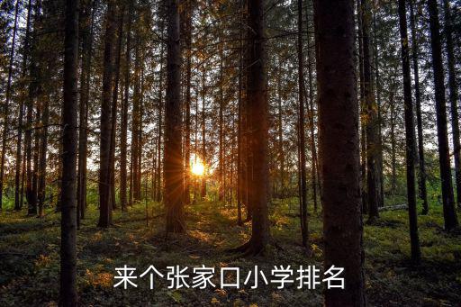 張家口工人村小學有多少學生,來個張家口小學排名