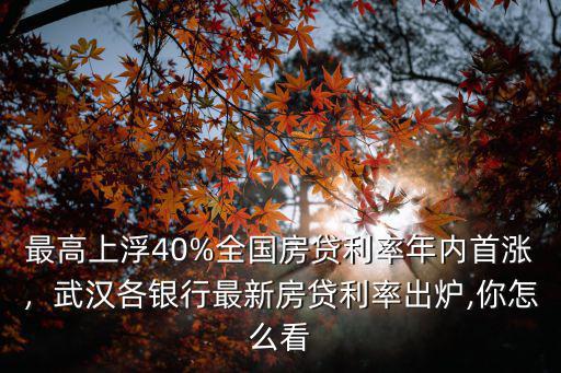 最高上浮40%全國房貸利率年內首漲，武漢各銀行最新房貸利率出爐,你怎么看