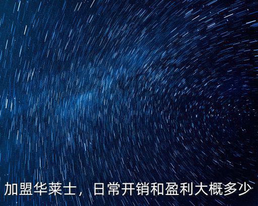 加盟華萊士，日常開銷和盈利大概多少