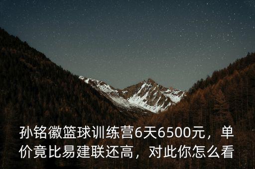 合肥籃球訓練營一般多少錢,能夠賺到多少錢