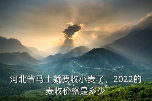 河北省馬上就要收小麥了，2022的麥收價格是多少