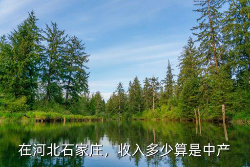 在河北石家莊，收入多少算是中產