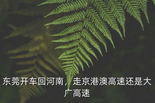 回河南高速怎么走,東莞開車回河南