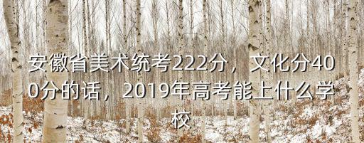 安徽省2019年高考本科線大約多少分,安徽省美術(shù)統(tǒng)考222分