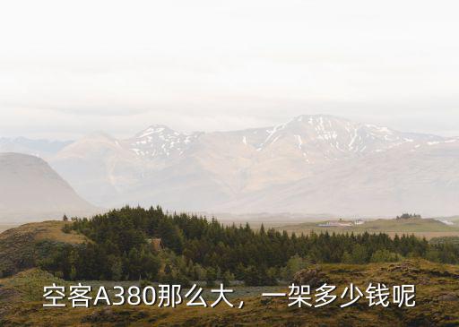 衡水a380多少錢,一架多少錢呢