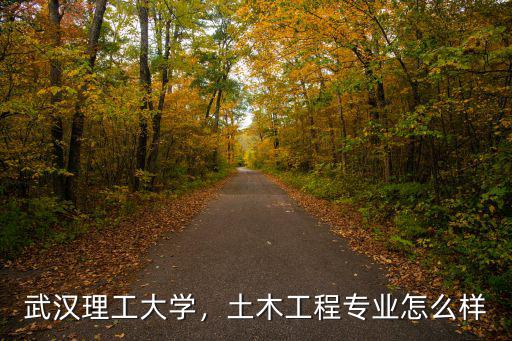 武漢理工大學，土木工程專業怎么樣