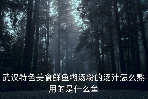 武漢過早的湯粉怎么煮好吃,武漢人怎么過早