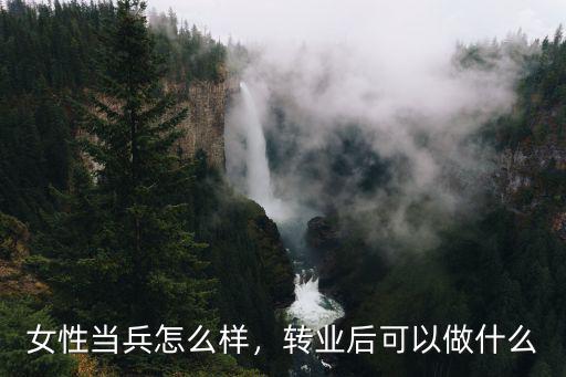 河南鎮平縣轉業士兵安置怎么樣,軍人轉業待安置期間