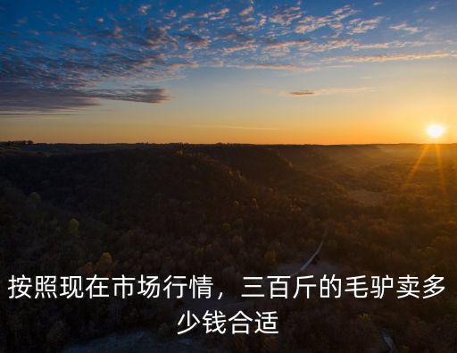 石家莊毛驢多少錢一斤,三百斤的毛驢賣多少錢合適