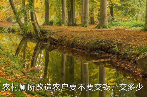 邢臺農村廁所改造需要多少錢,國家農村廁所改造政策