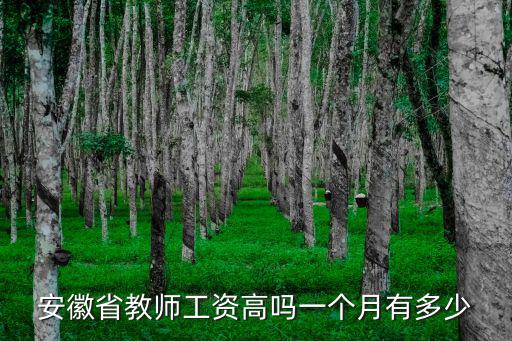 安徽小學體育老師工資多少一個月,體育老師每月工資多少合適