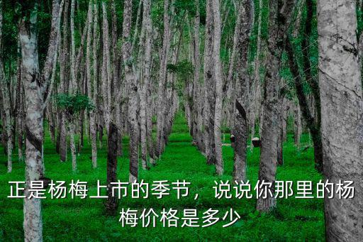 滁州應季楊梅多少錢一斤,今年楊梅價格多少錢一斤