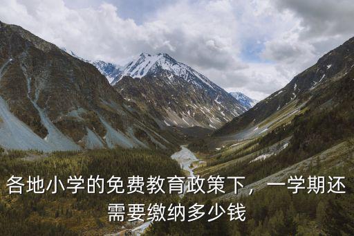 各地小學的免費教育政策下，一學期還需要繳納多少錢