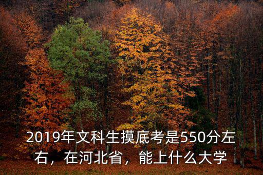 預計河北省2019年高考參考人數是多少,2019年高考