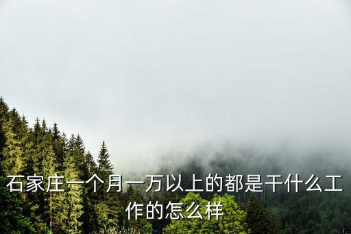 石家莊的程序員平均工資是多少,工資多少才合適