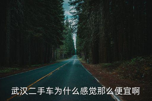 武漢車優二手車怎么樣啊,待遇怎么樣啊