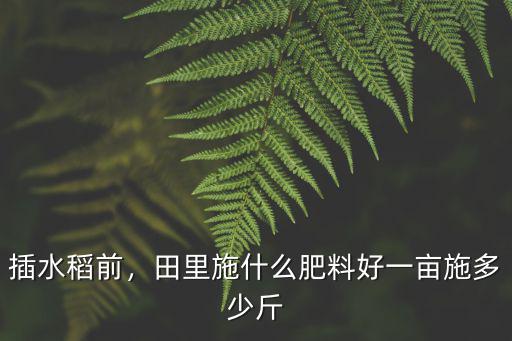 水稻怎么施復(fù)合肥一畝多少公斤,一畝施多少斤