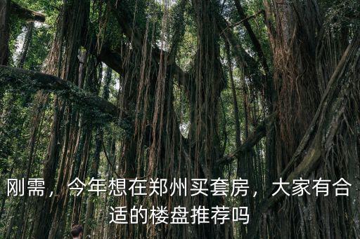 剛需，今年想在鄭州買套房，大家有合適的樓盤推薦嗎