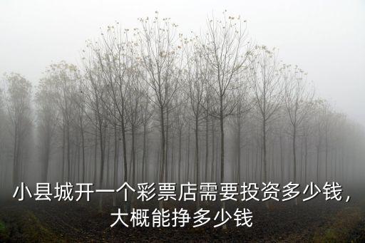 小縣城開一個彩票店需要投資多少錢，大概能掙多少錢