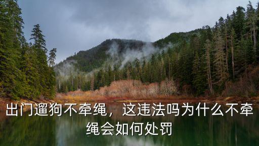秦皇島遛狗不牽繩罰款多少,出門遛狗不牽繩