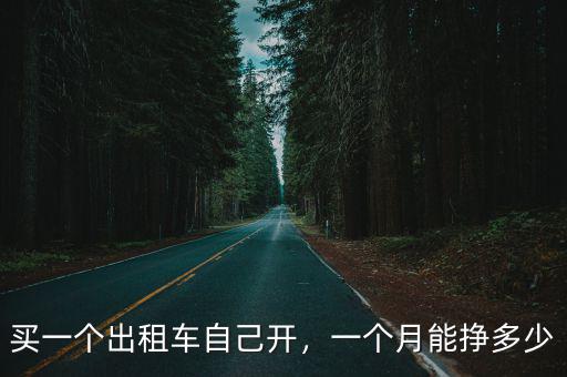 買一個出租車自己開，一個月能掙多少