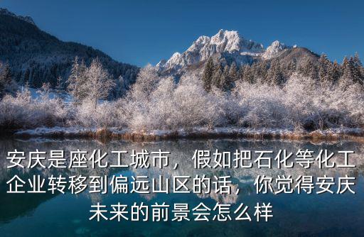 安慶石化資產多少,安慶除了安慶石化