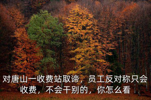 對(duì)唐山一收費(fèi)站取諦，員工反對(duì)稱只會(huì)收費(fèi)，不會(huì)干別的，你怎么看