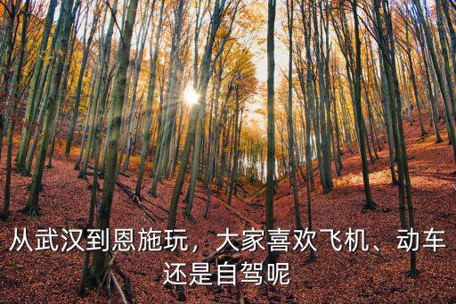 武漢到恩施怎么去比較好,從武漢到恩施玩