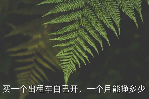 宿州開出租車一月能掙多少,一個(gè)月能掙多少