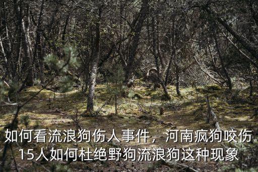 河南哪里有野狗市,有知道是哪里嗎